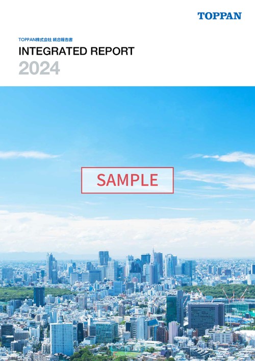 「はじめての統合レポート」のサービス案内資料サンプルイメージ2