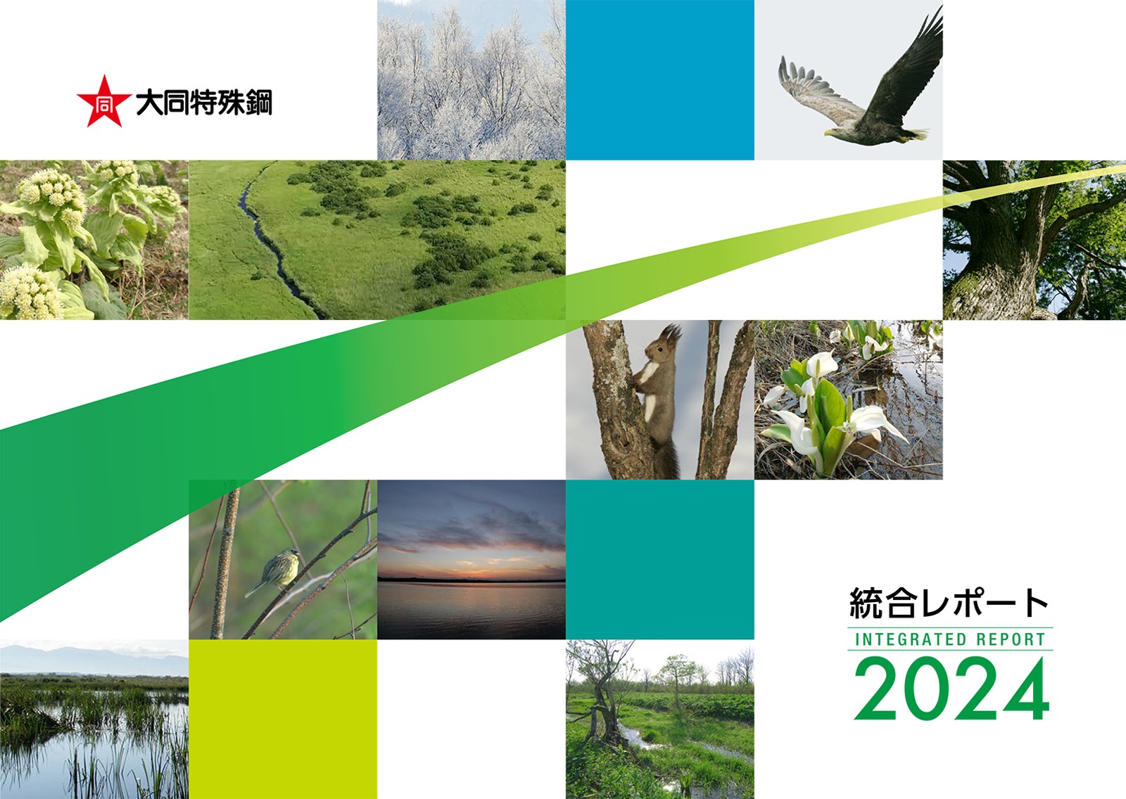 大同特殊鋼様／統合報告書